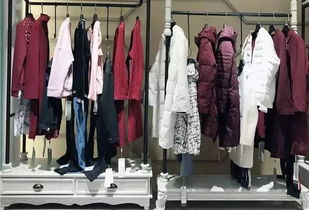 2018年中國(guó)服裝行業(yè)經(jīng)濟(jì)運(yùn)行分析 縮減版,下